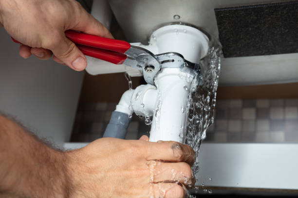 Best Professional water damage repair  in Wallington, NJ