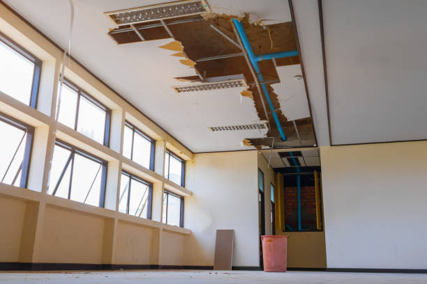  Wallington, NJ Water damage restoration Pros