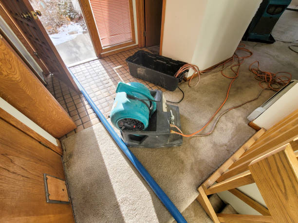 Best Carpet water damage restoration  in Wallington, NJ