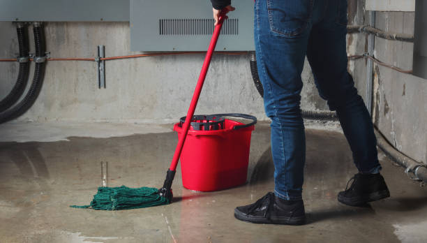 Best Emergency water extraction  in Wallington, NJ