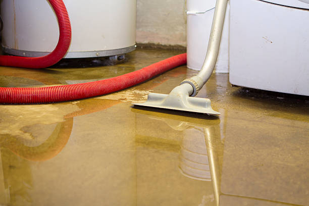 Best Water damage restoration near me  in Wallington, NJ
