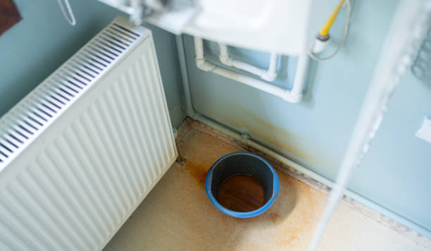Best Professional water damage repair  in Wallington, NJ