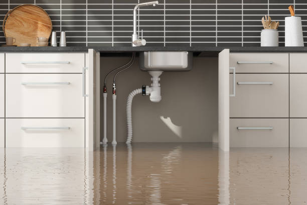 Best Ceiling water damage repair  in Wallington, NJ