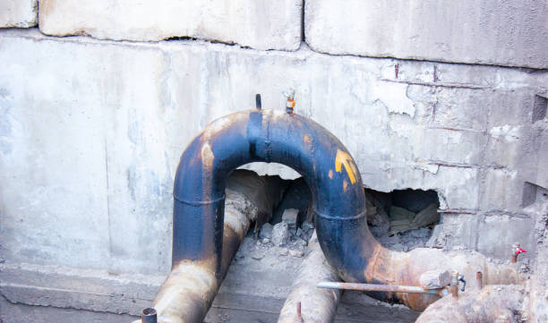 Best Water damage mitigation services  in Wallington, NJ