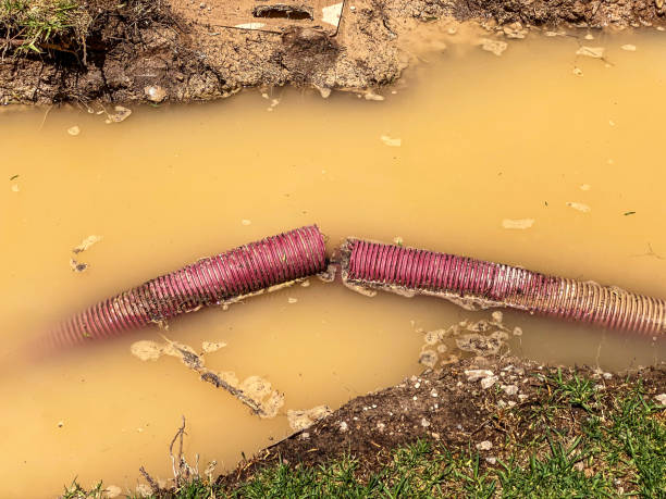 Best Water damage contractors near me  in Wallington, NJ