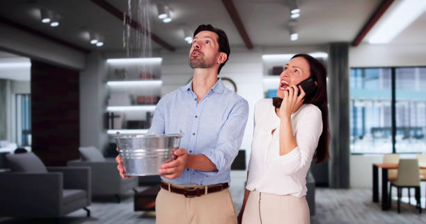 Best Commercial water damage restoration  in Wallington, NJ