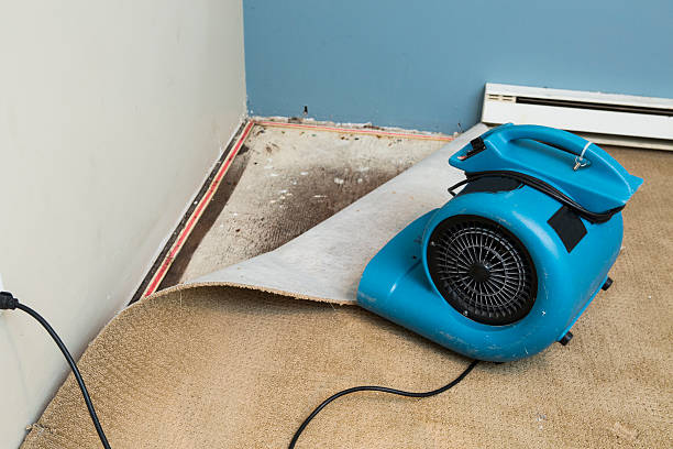 Trusted Wallington, NJ Water damage restoration Experts